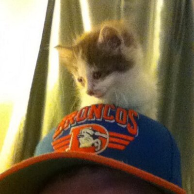 Profile Picture of Shawn Vance (@Recuddjnu) on Twitter