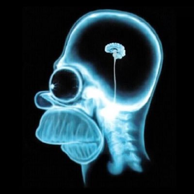 Profile Picture of Milhouse (@gil_lambert) on Twitter