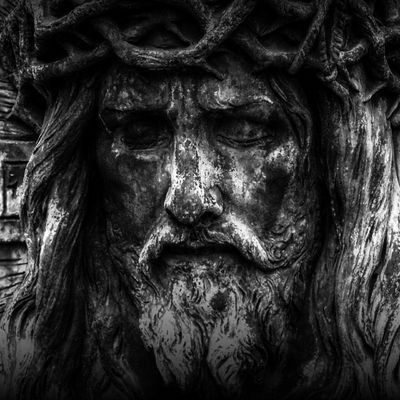 Profile Picture of Michael Symes (@michaelsymes8) on Twitter