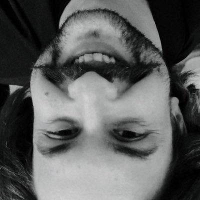 Profile Picture of Andy Barnov (@progapandist) on Twitter