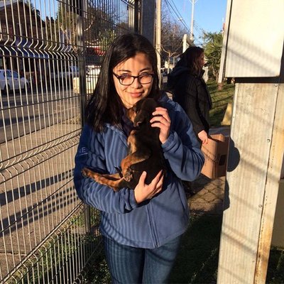 Profile Picture of Adela Solis (@AdelaSo23144291) on Twitter