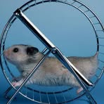 Profile Picture of Travis Wright (@Travis-Wright) on Facebook