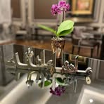 Profile Picture of Dewran Khan (@dewran.khan.2025) on Facebook