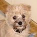 Profile Picture of Jake Klapperich (@klappy) on Pinterest