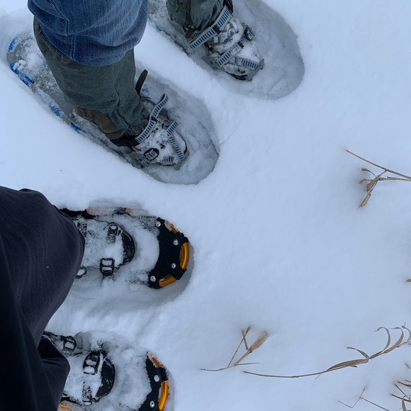 Profile Picture of Caryl Whiteman (@clwhiteman) on Poshmark