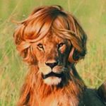 Profile Picture of Thomas Zorn (@zorn653) on Instagram
