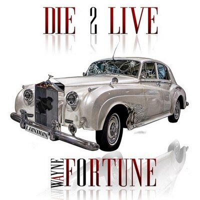 Profile Picture of Wayne Fortune (@waynefortune007) on Twitter