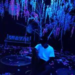 Profile Picture of Jeffrey Ting (@jeffrey.ting) on Instagram