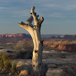 Profile Picture of Gregory Potter (@Gerg Potter) on Flickr