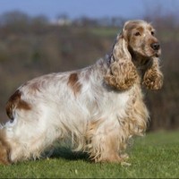 Profile Picture of Jade Moody (@jade-moody-8) on Quora