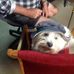 Profile Picture of Malcolm Davidson (@malcolm.davidson.92) on Facebook