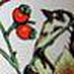 Profile Picture of Christina (@___sailor's delight) on Flickr