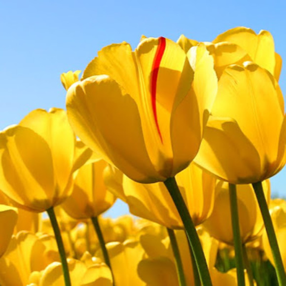 Profile Picture of Kelly Prutzman (@zoehannajuliana) on Poshmark