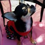 Profile Picture of Lennie Watson (@sparkle_me227) on Instagram