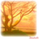 Profile Picture of Shoukath Ali Karuvalappil Aboo (@rou-shou-ali) on Flickr