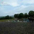 Profile Picture of   Cara_Equine (@carabailey1)... (@carabailey1) on Tiktok