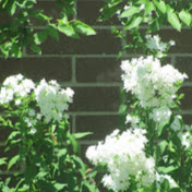 Profile Picture of Jacqueline Driggers (@tkfuzzkid) on Youtube