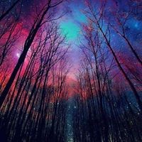 Profile Picture of Jacob Holman (@jacob-holman-7) on Quora