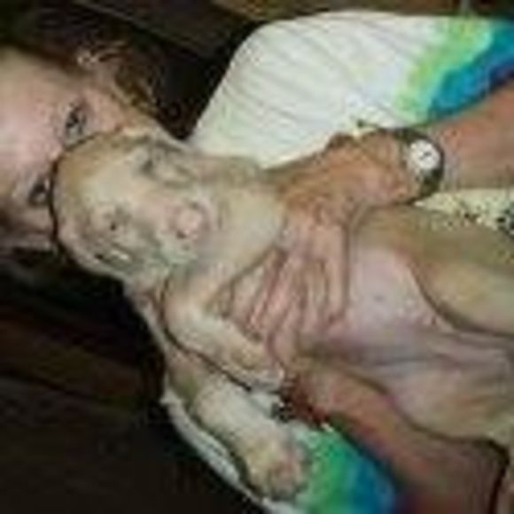 Profile Picture of Rachel Kulakowski (@rkulakowski) on Poshmark