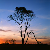 Profile Picture of Patrick Cooper Stock Footage (@patrickcooperstockfootage1185) on Youtube