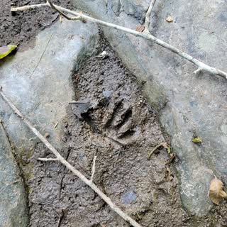 David Lipschutz - Instagram Profile Picture of David Lipschutz (@davidlipschutz) on Instagram