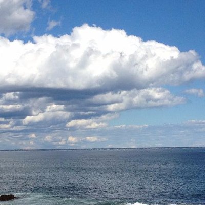 Profile Picture of Jacqueline Arnoldy (@arnoldyjacq) on Twitter