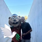 Profile Picture of Tommy Waldron (@tommy.waldron.2024) on Facebook