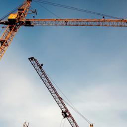 Profile Picture of David D. Jones (@palombo_r) on Twitter