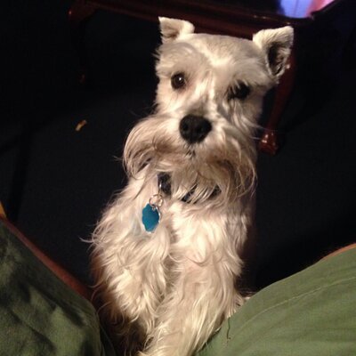 Profile Picture of Bill Renshaw (@RenshawBill) on Twitter