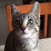 Profile Picture of Andrew Kennings (@andrew-kennings) on Quora