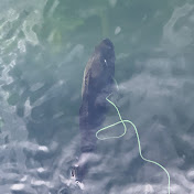 Profile Picture of James Erhard (@jameserhard2410) on Youtube