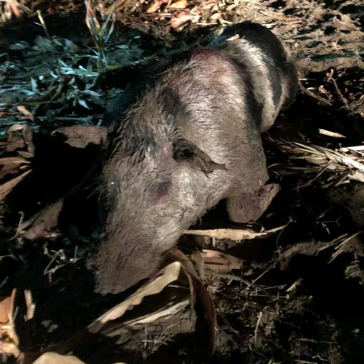 Profile Picture of Daniel Hartley (@danielhartley08) on Tiktok