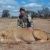 Profile Picture of Larry Pollack (@larrypollack14) on Pinterest