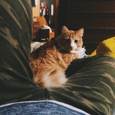 Profile Picture of Joshua Penrod (@l8nitedickfears) on Twitter