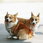 Profile Picture of Lincoln Koehler (@bobbymcfugle) on Instagram