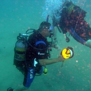 Profile Picture of Andre Visser (@278736771) on Myspace