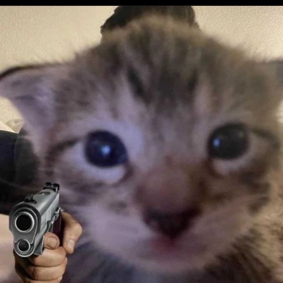 Profile Picture of Astrid Escobar (@astridescoba691) on Poshmark