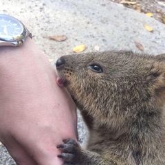 Profile Picture of Daryl Wren (@@daryl.wren) on Tiktok
