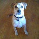 Profile Picture of Samuel Wagoner (@auntloretta2016) on Instagram