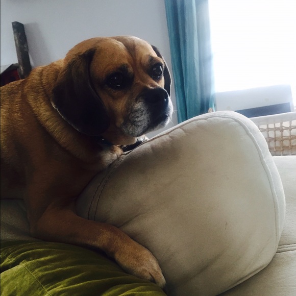 Profile Picture of C Porter (@courtwol) on Poshmark