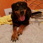 Profile Picture of Corinne Bertino (@totine38) on Instagram