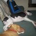 Profile Picture of marc knowles (@knowles0039) on Pinterest