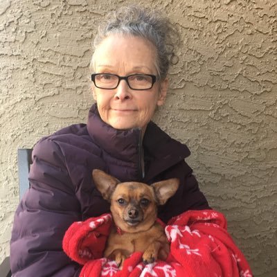 Profile Picture of Ariel Morrison (@ArielMo81914454) on Twitter