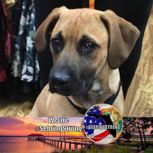 Denise Beauparlant - Poshmark Profile Picture of Denise Beauparlant (@dkbcats) on Poshmark