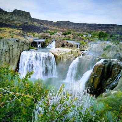 Profile Picture of Josh Brumley (@JoshBrumley7) on Twitter