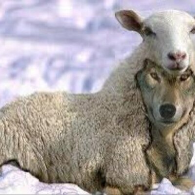 Profile Picture of Derrick Cooley (@weboughtalie) on Twitter