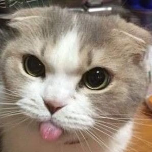 Profile Picture of Augusto Edgar Sukari Valdivia (@EdgarSukari) on Twitter