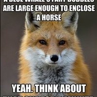 Profile Picture of Brian Nickson (@brian-nickson) on Quora