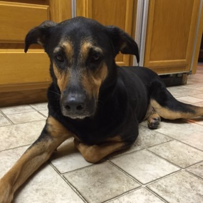 Profile Picture of Rick Moncrief (@Realrick209) on Twitter