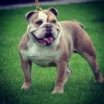 Profile Picture of nicholas (@freeretardedstuff) on Instagram